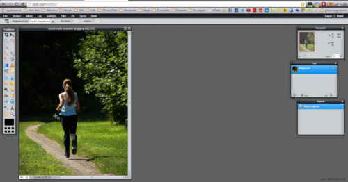 Pixlr Editor - Online billedbehandlingsprogram der bl.a. kan komprimere billeder